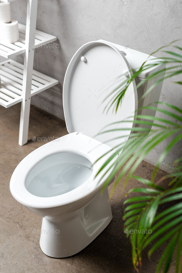 Palm tree on sale toilet seat