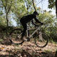 Mountain biking on spring forest trail - PhotoDune Item for Sale