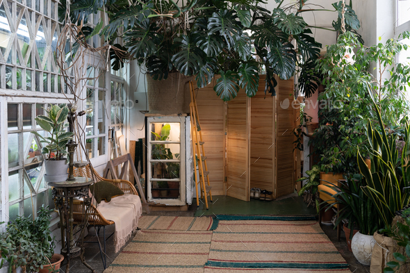 Cozy eco-home with indoor greenhouse, eco-friendly interior design, stunning urban jungle room