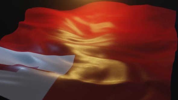 Tonga Flag Low Angle View