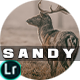 Sandy Mood Lightroom Presets Mobile and Desctop
