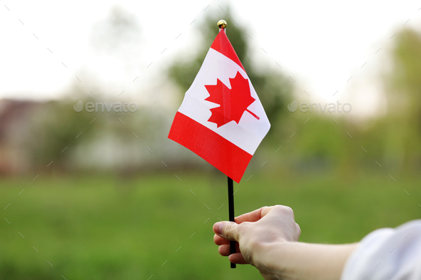 Flag of Canada, National symbol waving against, sunny day. Canada flag ...