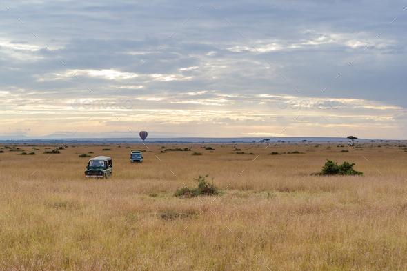 Safari Vehicles In Open Kenya Field