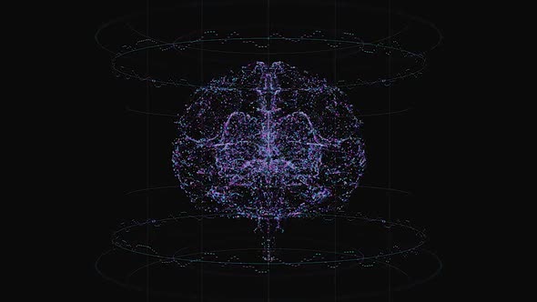 Digital Brain 03
