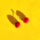 Vertical shot of red cherries isolated on a yellow background with copy space - PhotoDune Item for Sale