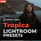 Tropica Premium Lightroom Preset