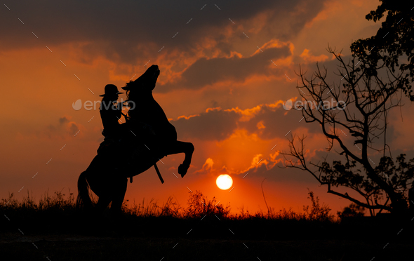 horse rearing with rider silhouette