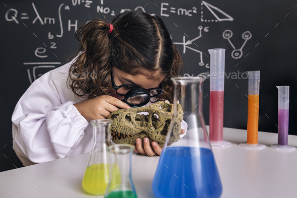 little scientist girl studying a dinosaur skull