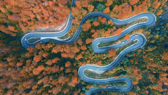 Autumn road-aerial view