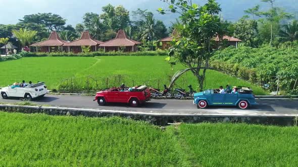 Vintage VW Safari cars passing through green rice fields and traditional Joglo houses in Indonesia alt