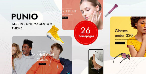 Punio - All in one Magento 2 Theme