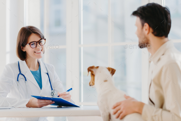 Man brings his pet fot vet examination in clinic, tells symptoms of ill dog.