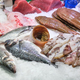 Market stall with fish and seafood - PhotoDune Item for Sale