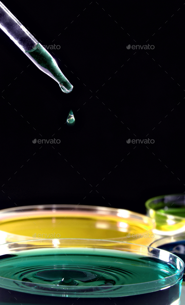 Pouring culture medium into Petri dish in lab