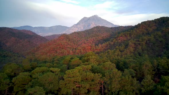The drone view on the natural park among tracking path:"likya yolu" in South Turkey, Antalya