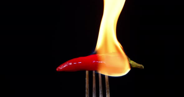Red Chili Pepper Flames on a Fork alt