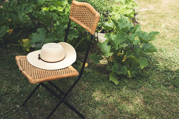 A hat on a chair in a garden