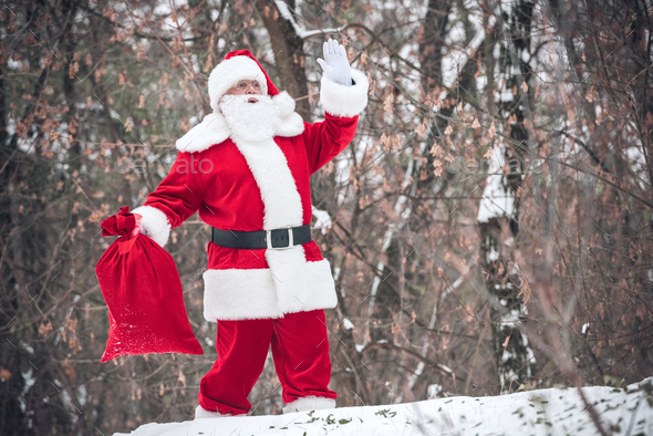 Santa Claus walking from the forest with red sack full of gifts and ...