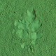 Leaves imprint on green powder. Natural cosmetic. Selective focus. - PhotoDune Item for Sale