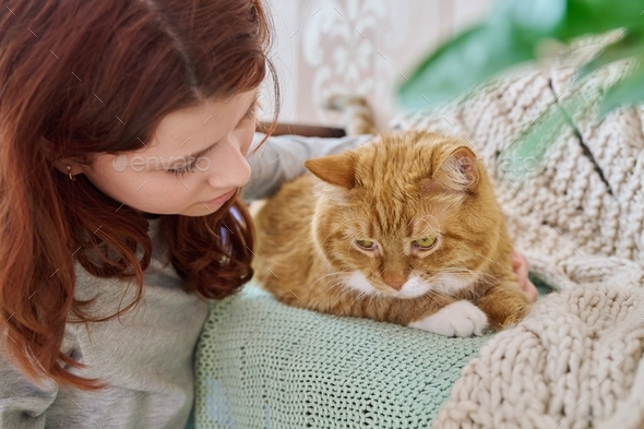 Preteen Girl Hugging Cat With Love, Face Close Up Stock Photo By 