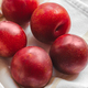 Plumcot. Organic fruits. Vegetarian - PhotoDune Item for Sale