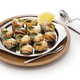escargots (snails with parsley &amp; garlic butter) - PhotoDune Item for Sale