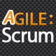 Agile Scrum - Project Issue Management - CodeCanyon Item for Sale