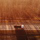 Aerial view of truck with waste paper loaded in wagon driving through wooded autumn scenery - PhotoDune Item for Sale