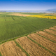 Cultivation of the fields seen from above - PhotoDune Item for Sale
