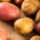 Raw whole washed organic potatoes - PhotoDune Item for Sale