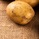 Raw whole washed organic potatoes - PhotoDune Item for Sale