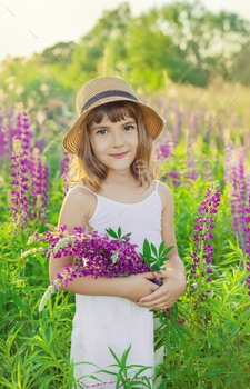 Child photo shoot in a lupine field. Selective focus.