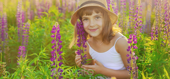 Child photo shoot in a lupine field .season allergies. Selective focus.