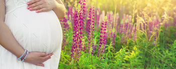 Pregnant woman in a lupine field. Selective focus.