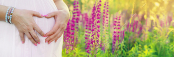 Pregnant woman in a lupine field. Selective focus.