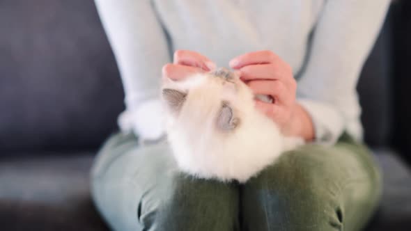 Woman cuddling a kitten