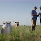 Two Cattle Farmers Communicate Stand in the Pasture Use a Tablet - VideoHive Item for Sale