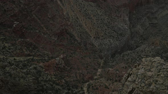 Aerial view of plants on Grand Canyon's cliffs alt