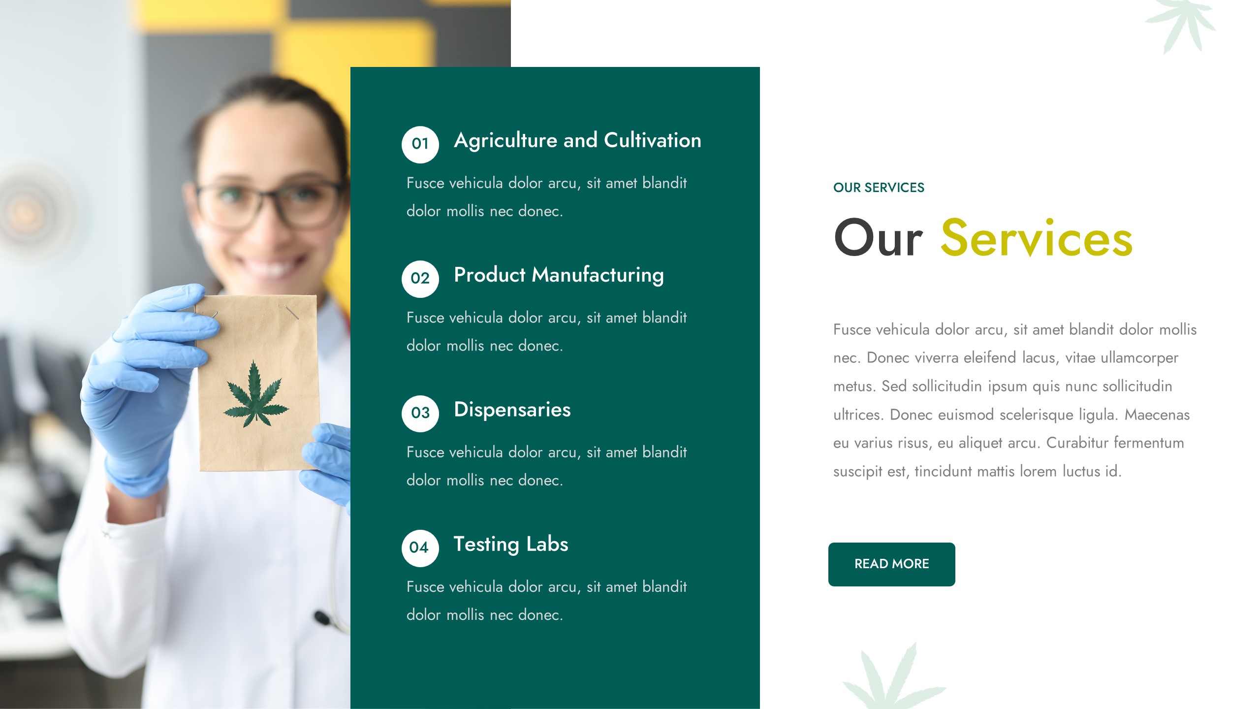 CANABIO - Medical Marijuana Dispensary Powerpoint Template ...
