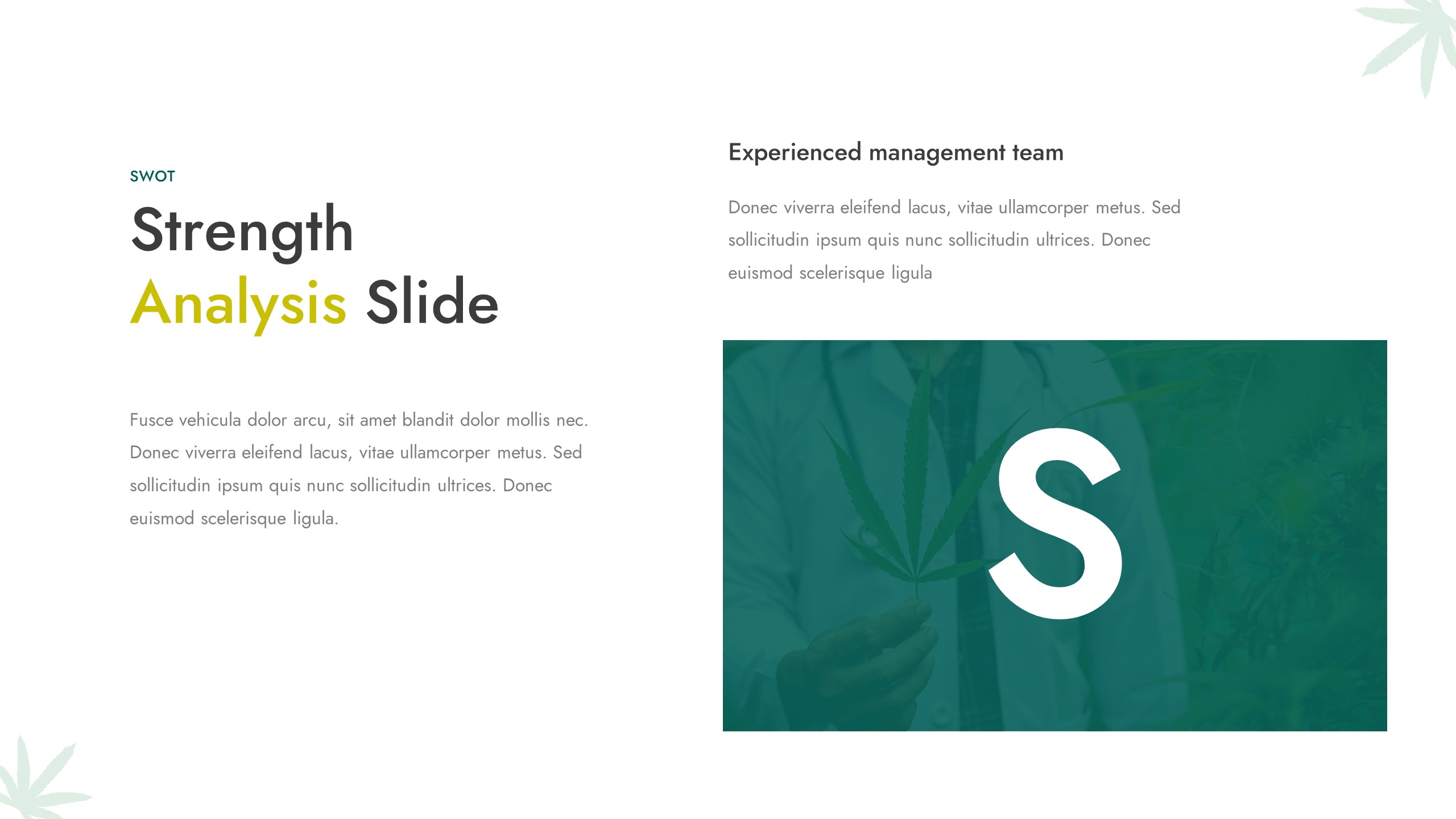 CANABIO - Medical Marijuana Dispensary Powerpoint Template ...
