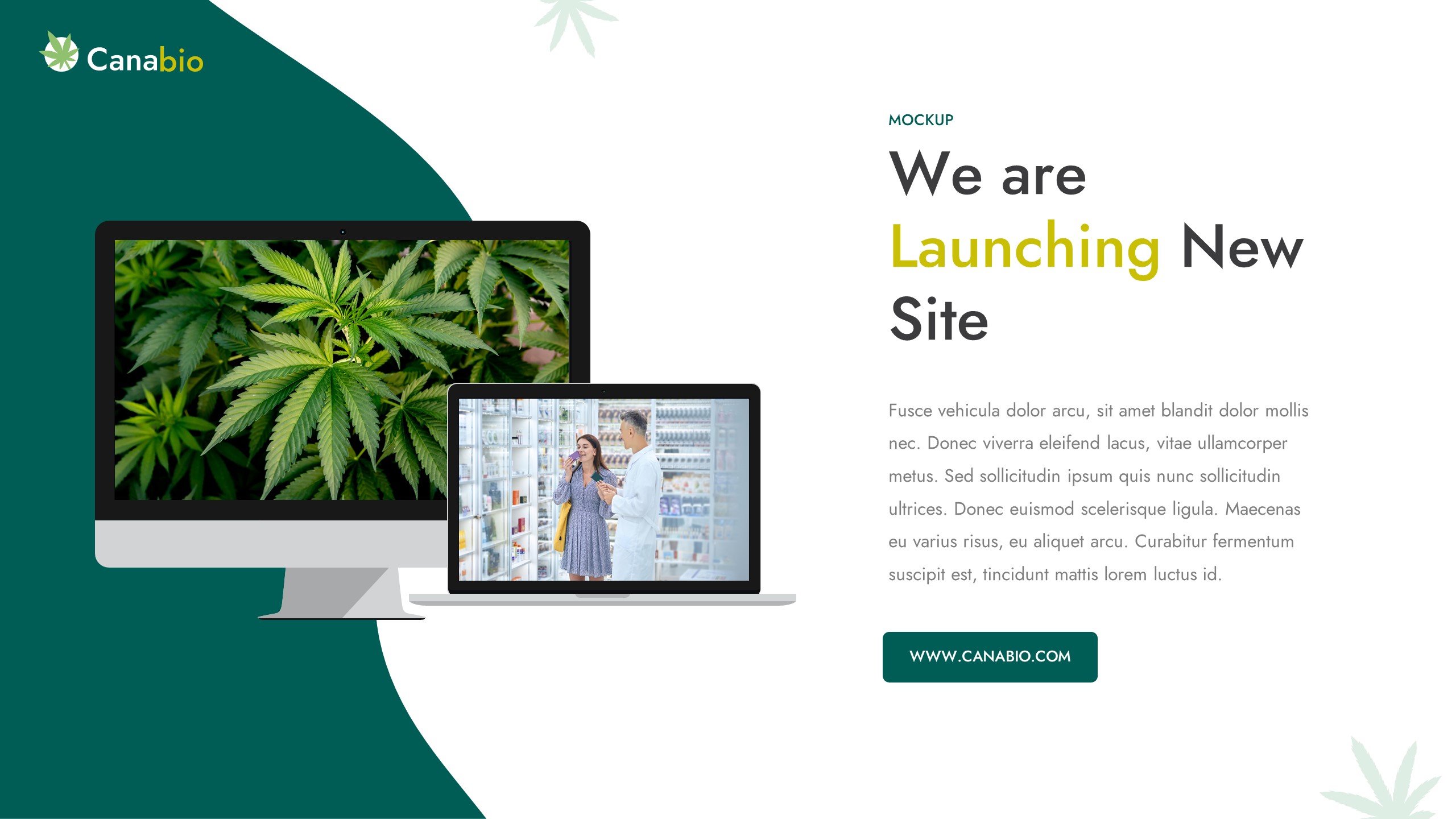 CANABIO - Medical Marijuana Dispensary Powerpoint Template ...