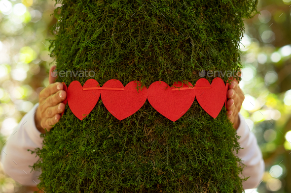 Hidden woman hugging a moss covered tree trunk in the woods with a wreath of small red hearts