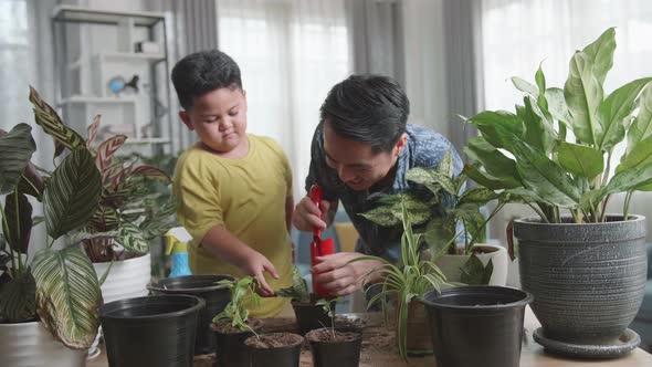 Father And Son Transplanting Plant At Home alt