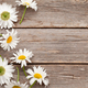 Chamomile garden flowers on wooden background - PhotoDune Item for Sale