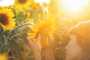 Child in a field of blooming sunflowers. Selective focus.