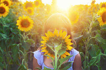 Child in a field of blooming sunflowers. Selective focus.