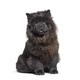sitting Black Chow-chow dog looking at the camera, isolated on white - PhotoDune Item for Sale