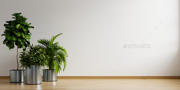 Empty room with plant in living room interior. Stock Photo by vanitjan