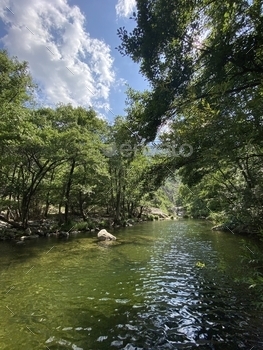 River Chassezac, trees and blue sky, during summertime