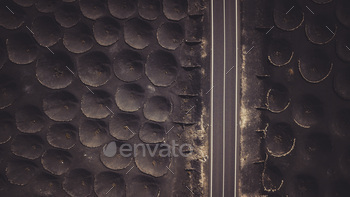 Aerial view of unusual and scenic asphalt straight road with black ground and holes. Rare vineyard